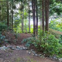 6308 NE 151st Street, Kenmore, WA 98028