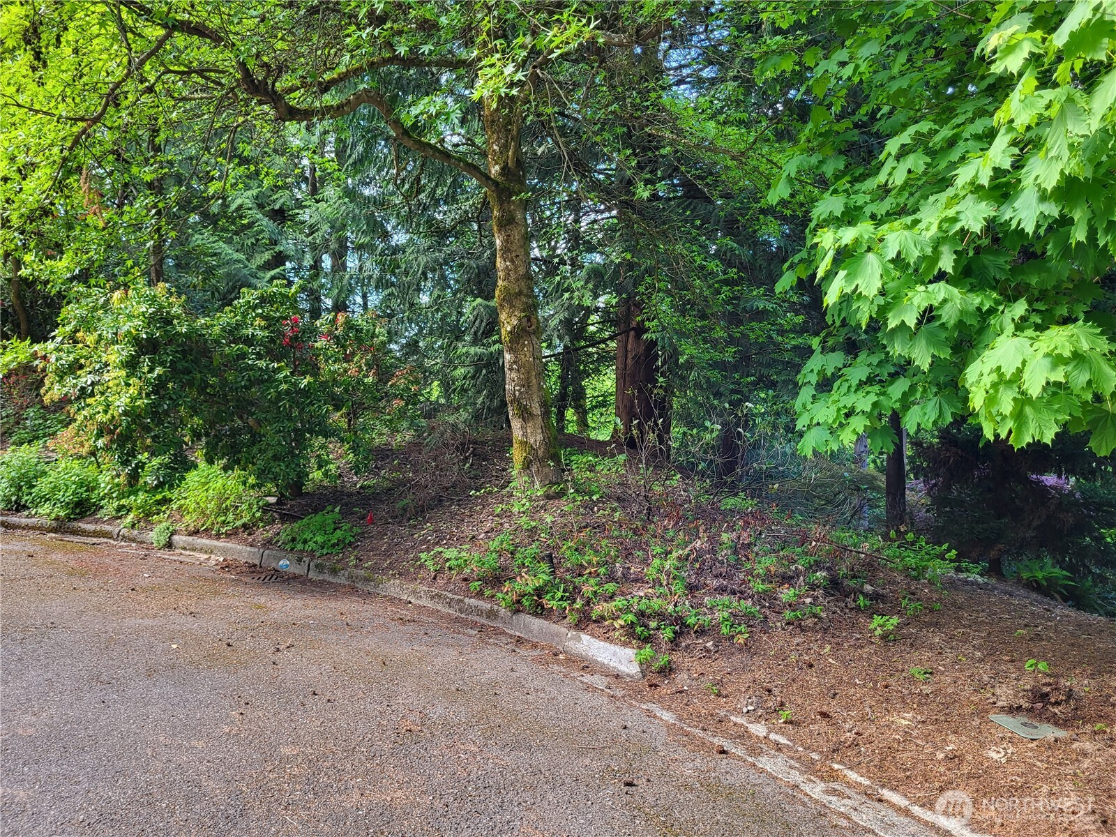 6308 NE 151st Street, Kenmore, WA 98028