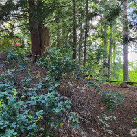 6308 NE 151st Street, Kenmore, WA 98028