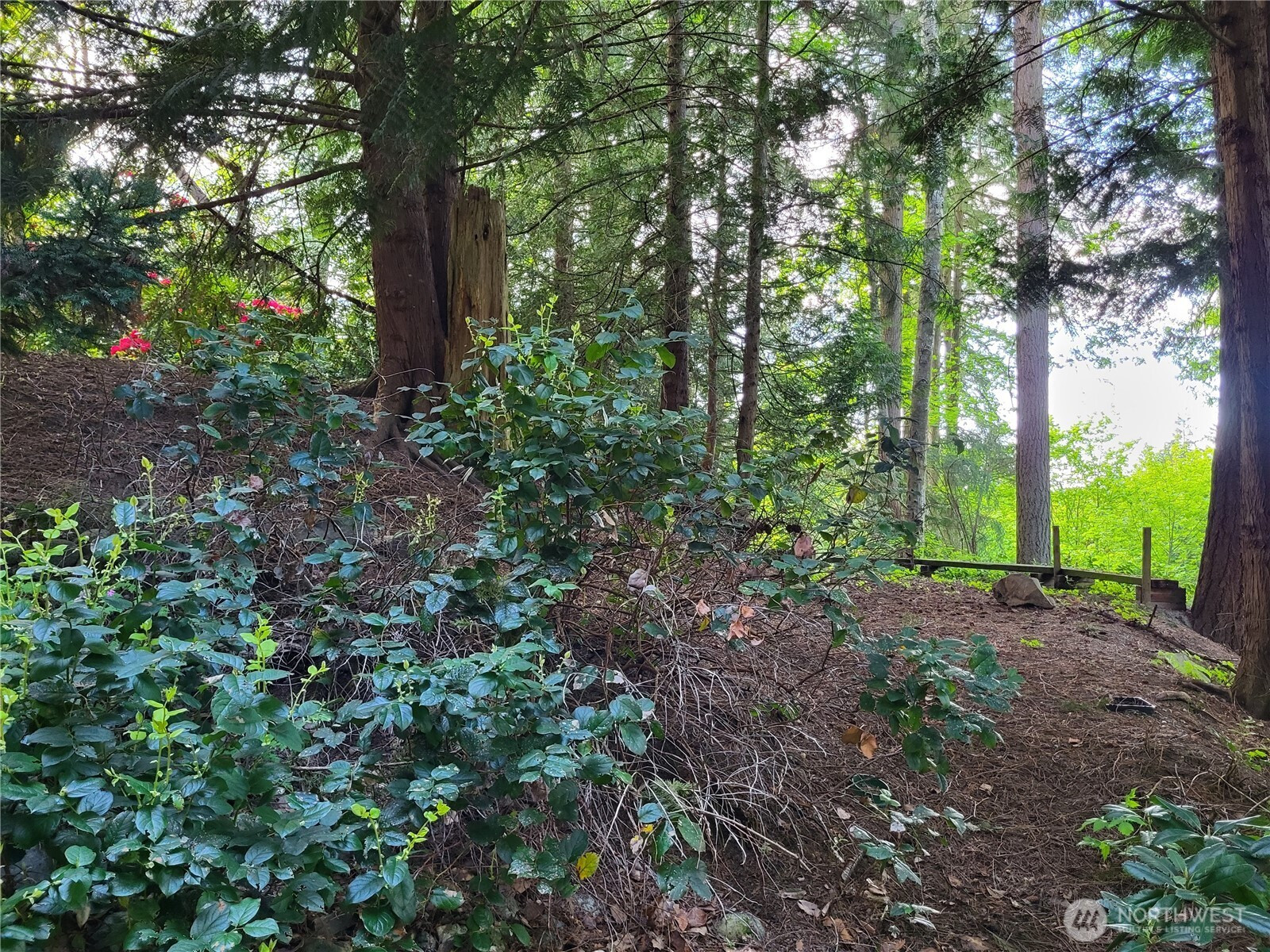 6308 NE 151st Street, Kenmore, WA 98028