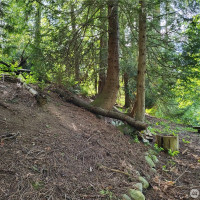 6308 NE 151st Street, Kenmore, WA 98028