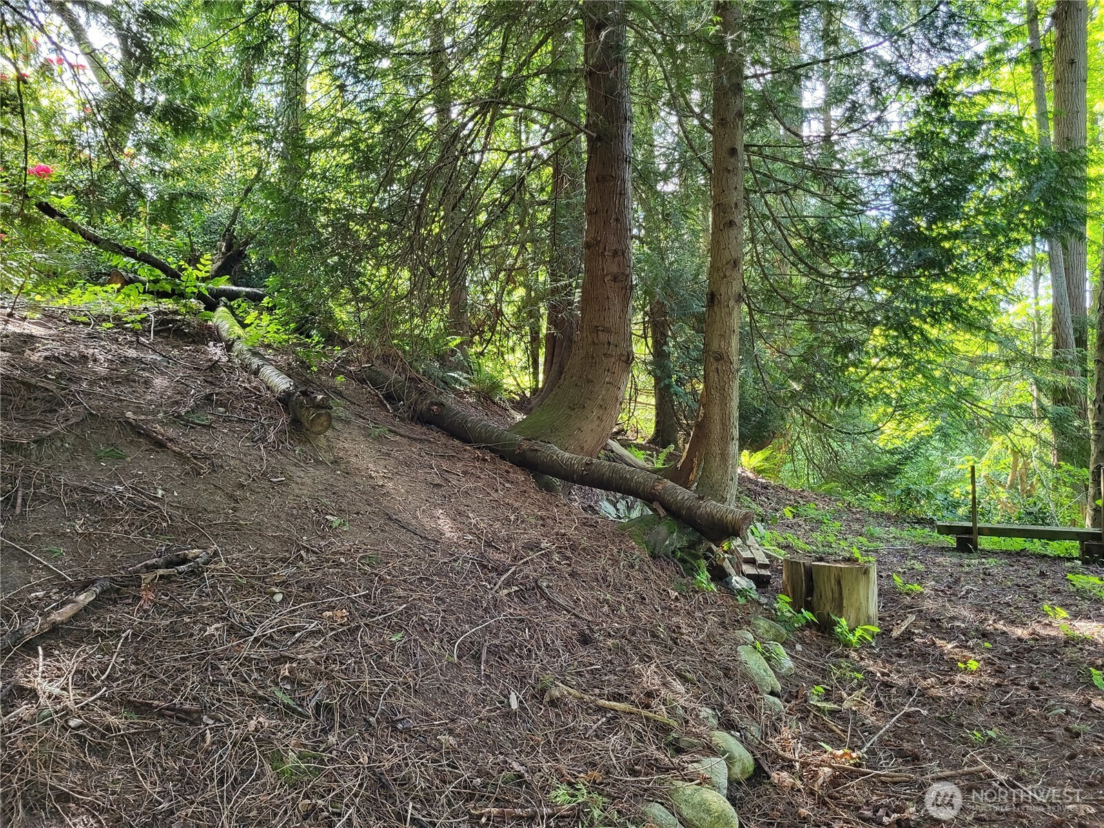 6308 NE 151st Street, Kenmore, WA 98028