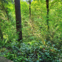 6308 NE 151st Street, Kenmore, WA 98028