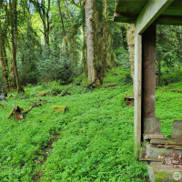 6308 NE 151st Street, Kenmore, WA 98028