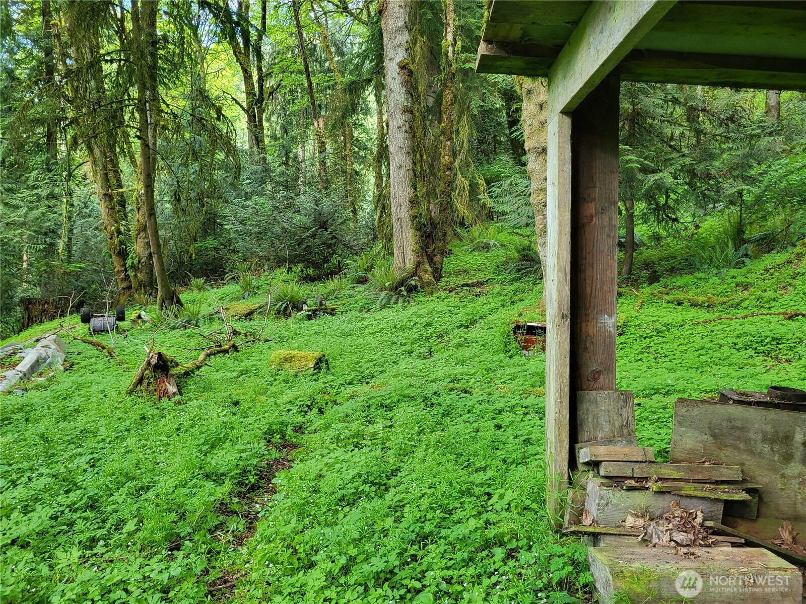 6308 NE 151st Street, Kenmore, WA 98028