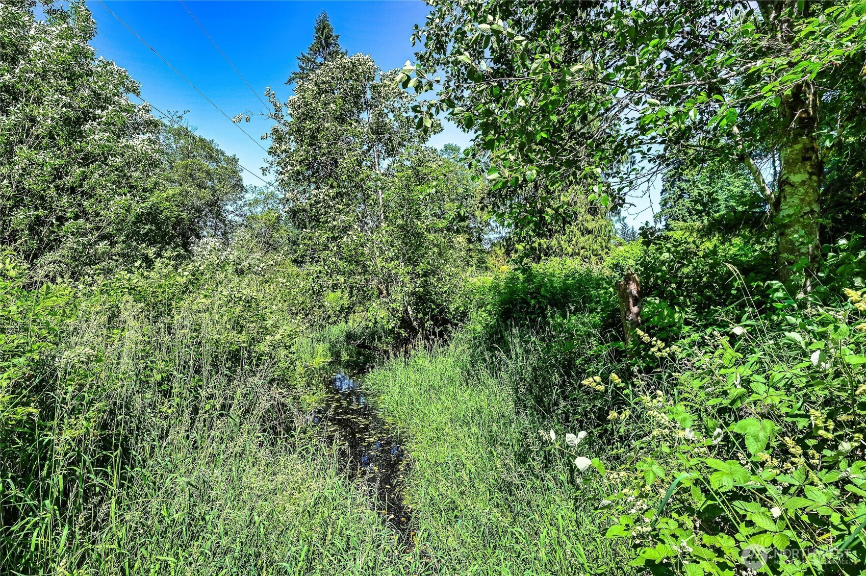 11205 Callow Road, Lake Stevens, WA 98258