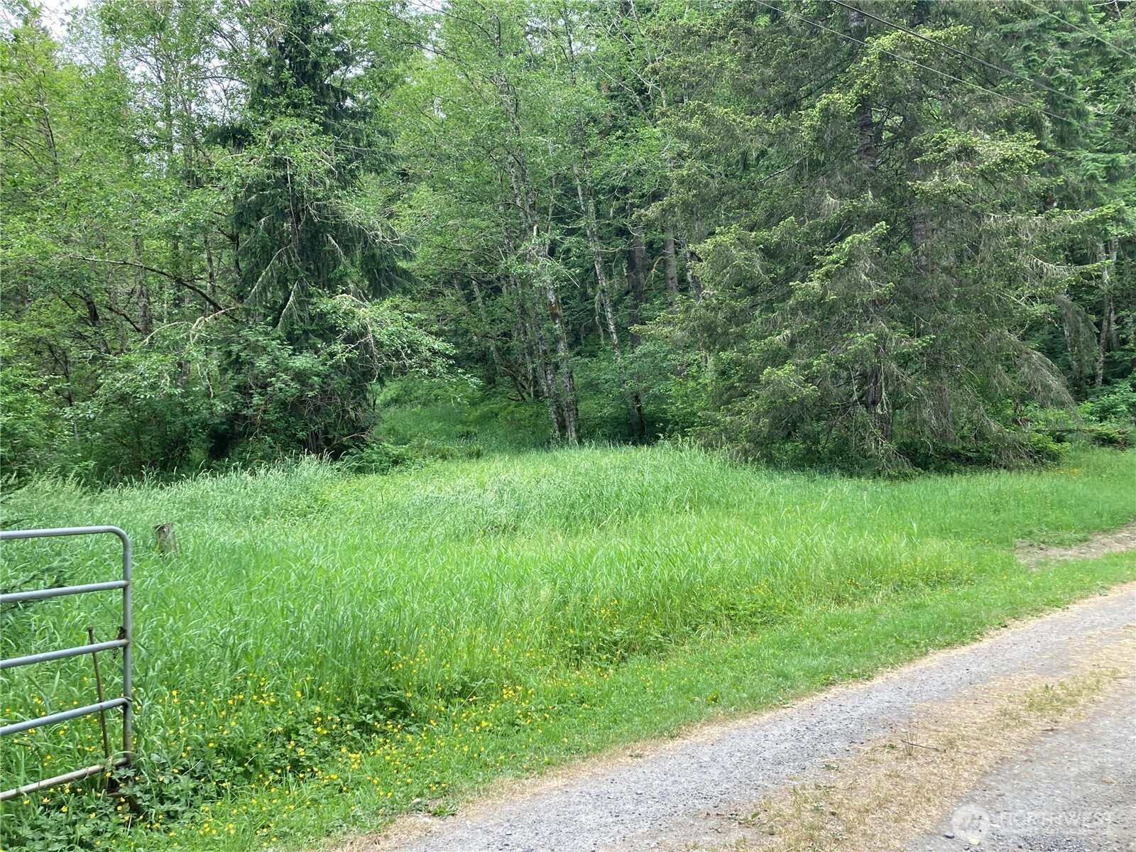 0 Eatonville Elbe Forest Rd E, Eatonville, WA 98328