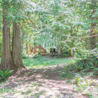 0 Maple Avenue, Brinnon, WA 98320