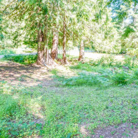 0 Maple Avenue, Brinnon, WA 98320