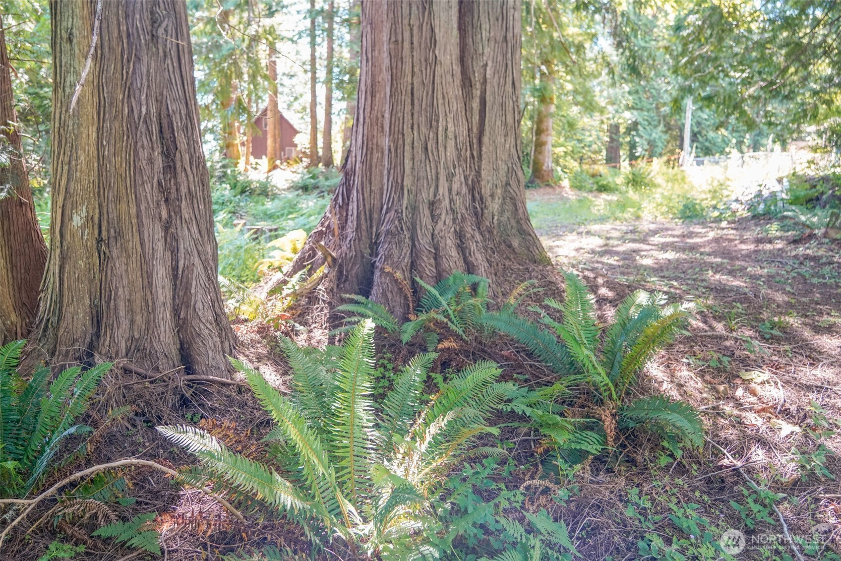 0 Maple Avenue, Brinnon, WA 98320