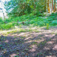 0 Maple Avenue, Brinnon, WA 98320