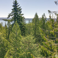 0 Maple Avenue, Brinnon, WA 98320