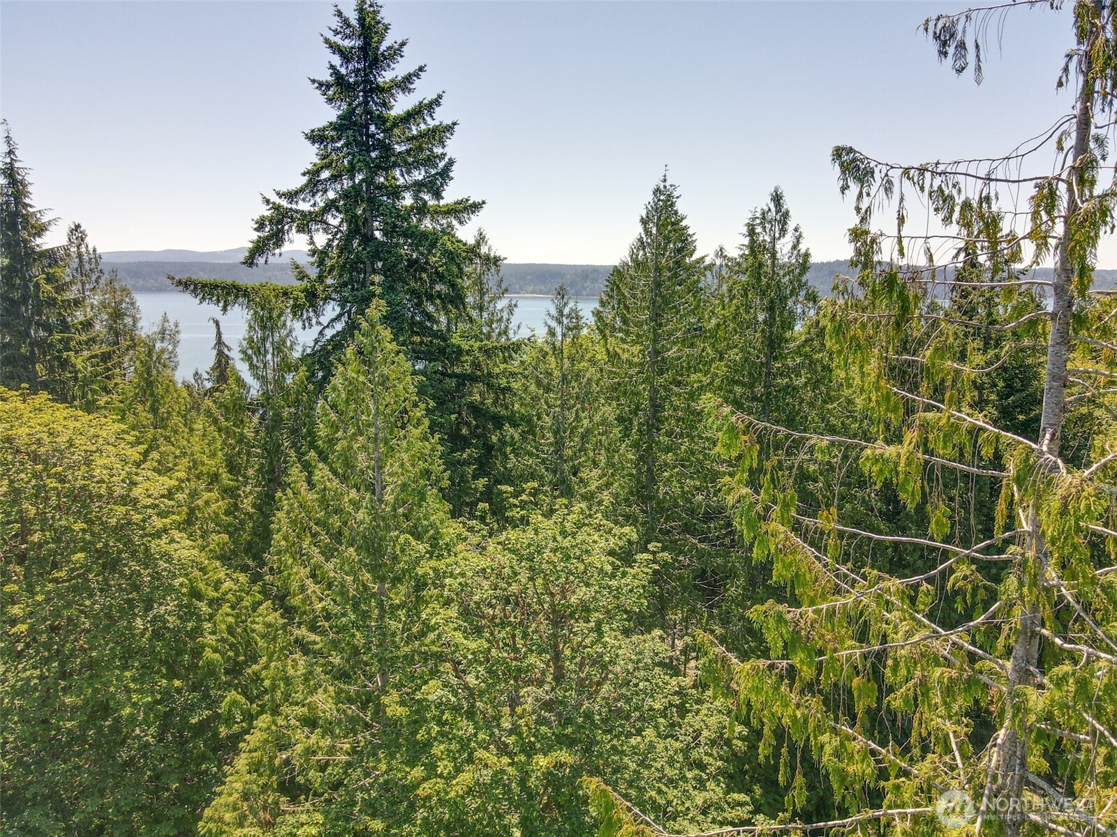 0 Maple Avenue, Brinnon, WA 98320