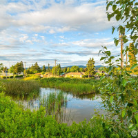 8269 S 118th Court, Seattle, WA 98178