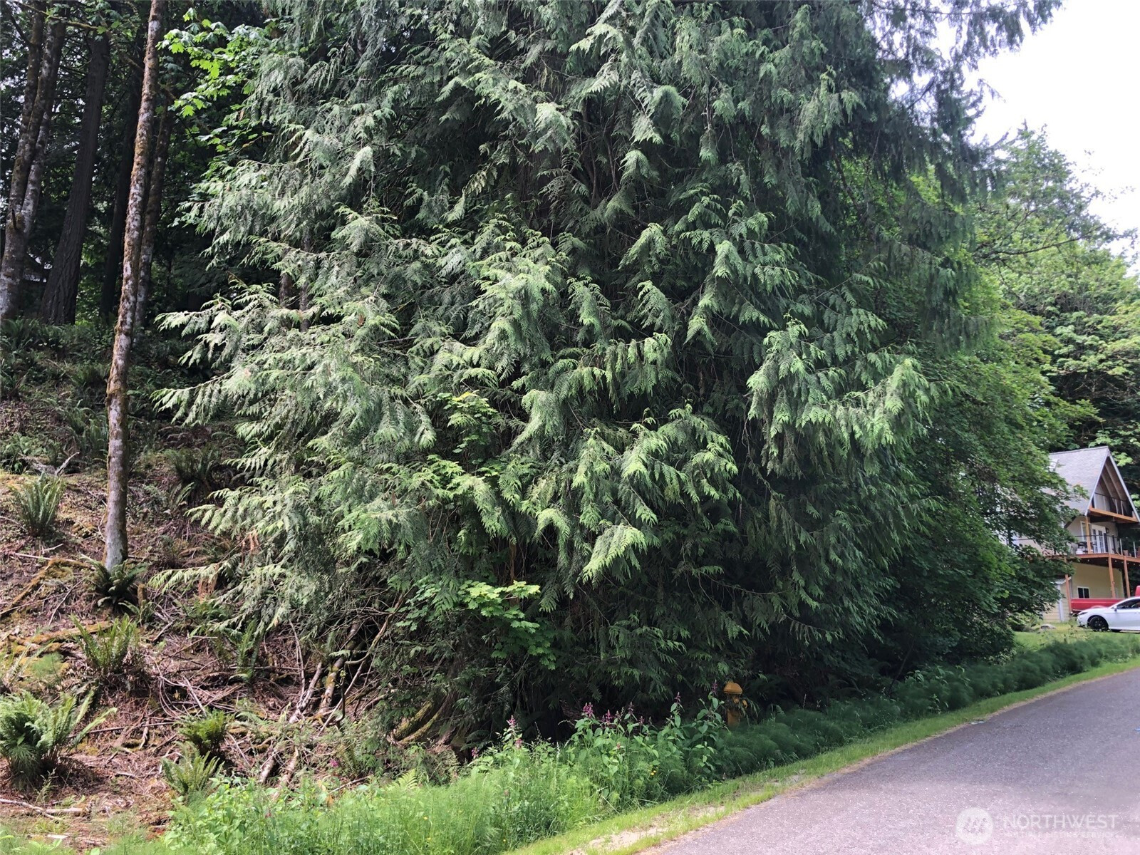 8 Twin Flower Circle, Bellingham, WA 98229