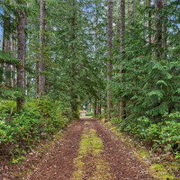 2120 E Spencer Lake Road, Shelton, WA 98584