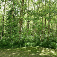 21102 Lake Riley Road, Arlington, WA 98223