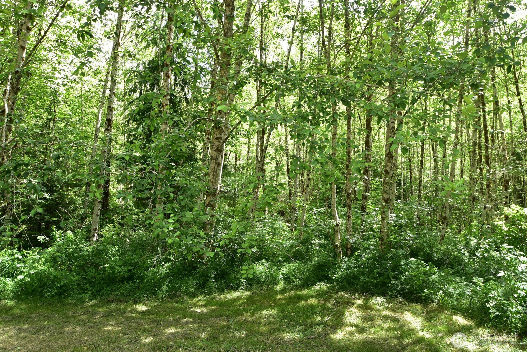 21102 Lake Riley Road, Arlington, WA 98223