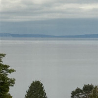 9502 23rd Avenue NW, Seattle, WA 98117