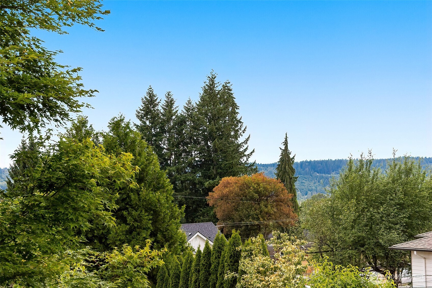 26710 NE Stephens Street, Duvall, WA 98019