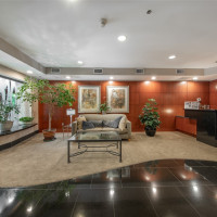 10047 Main Street, Bellevue, WA 98004