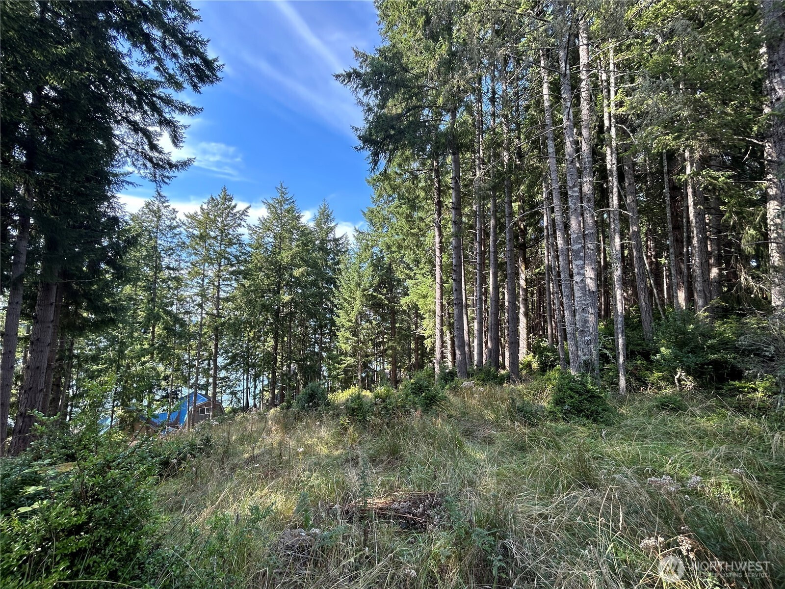 315 Herron Lane NW, Lakebay, WA 98349