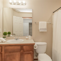 13814 174th Street Ct E, Puyallup, WA 98374