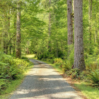 2829 Lake Langlois Road NE, Carnation, WA 98014