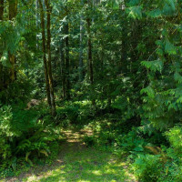 2829 Lake Langlois Road NE, Carnation, WA 98014