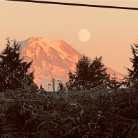 10510 66th Avenue E, Puyallup, WA 98373