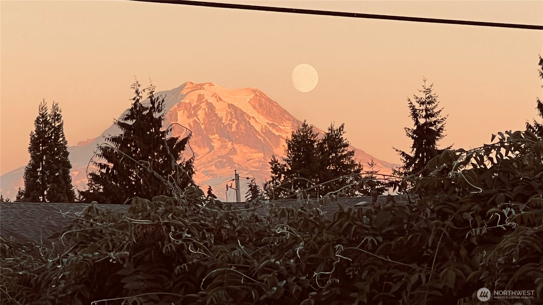 10510 66th Avenue E, Puyallup, WA 98373