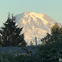 10510 66th Avenue E, Puyallup, WA 98373