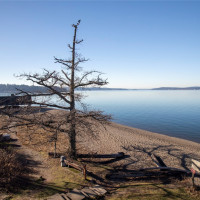 108 Champion Street, Steilacoom, WA 98388