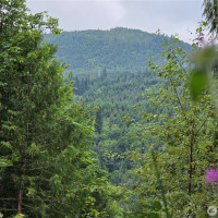 421 Arabian Dr, Brinnon, WA 98320