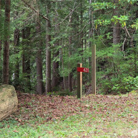 421 Arabian Dr, Brinnon, WA 98320