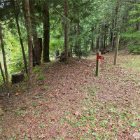 421 Arabian Dr, Brinnon, WA 98320