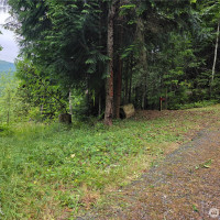 421 Arabian Dr, Brinnon, WA 98320