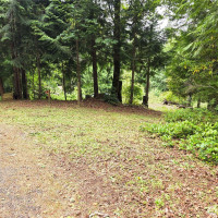 421 Arabian Dr, Brinnon, WA 98320