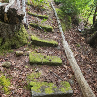 421 Arabian Dr, Brinnon, WA 98320