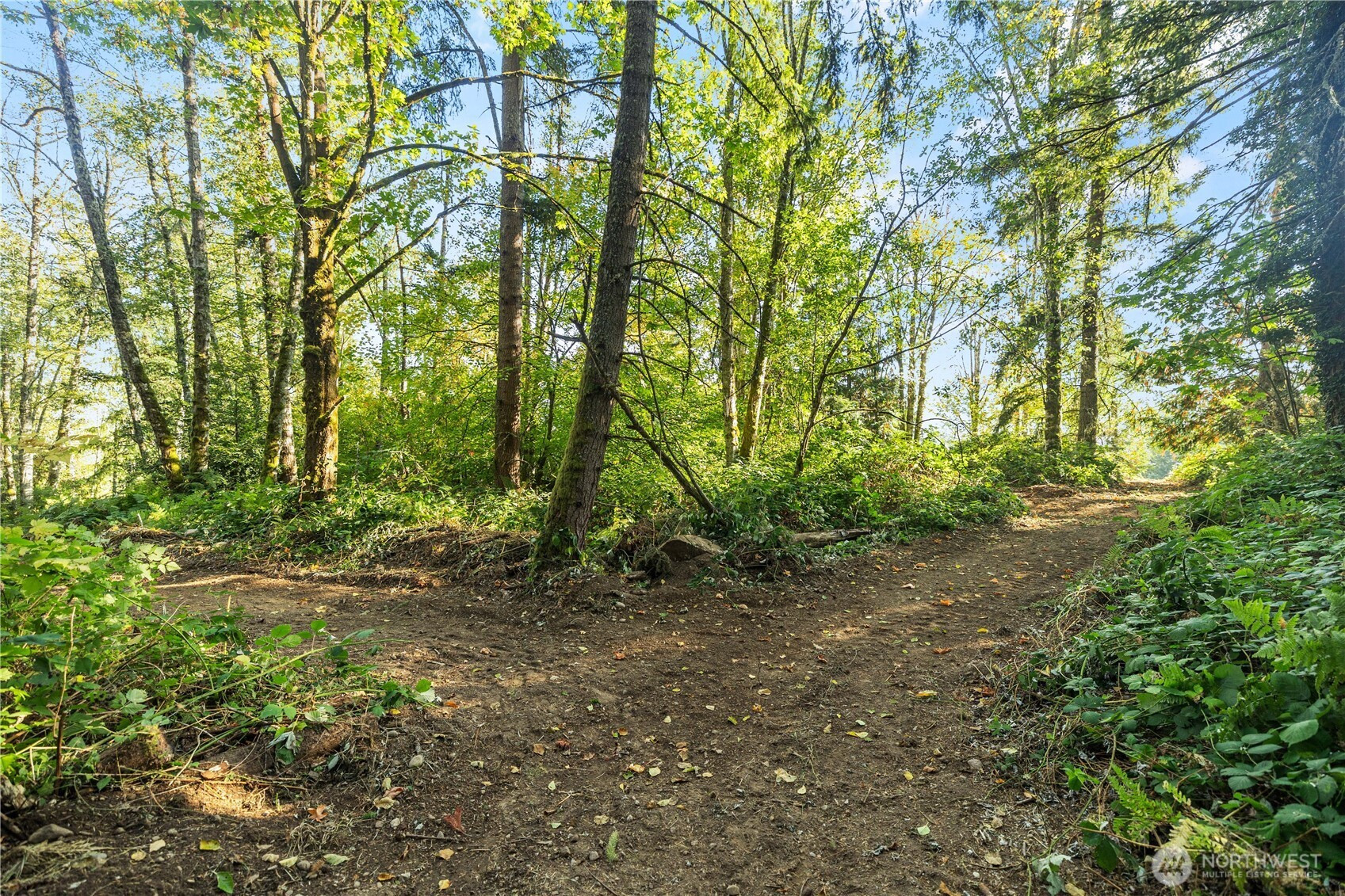 27815 SE 264th Street, Ravensdale, WA 98051