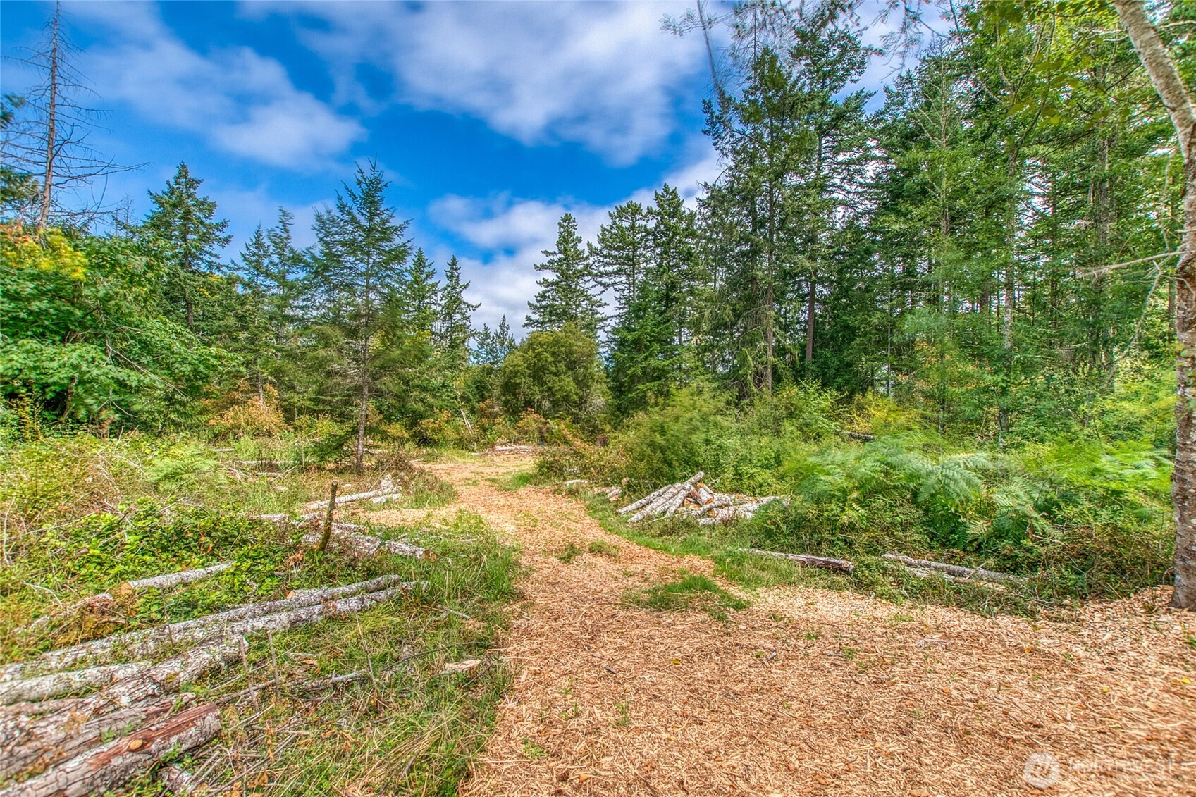 0 Lot B Spring Point Road, Orcas Island, WA 98243