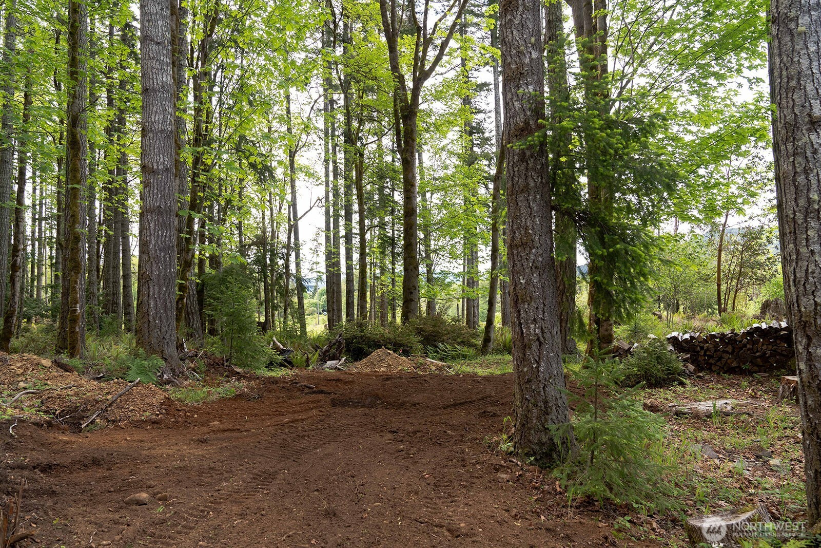 331 Rocky Brook Road, Brinnon, WA 98320