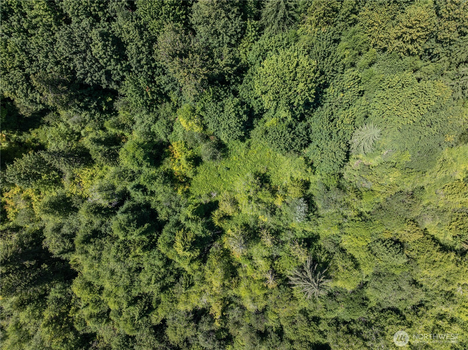 1310 W Little Egypt Road, Shelton, WA 98584