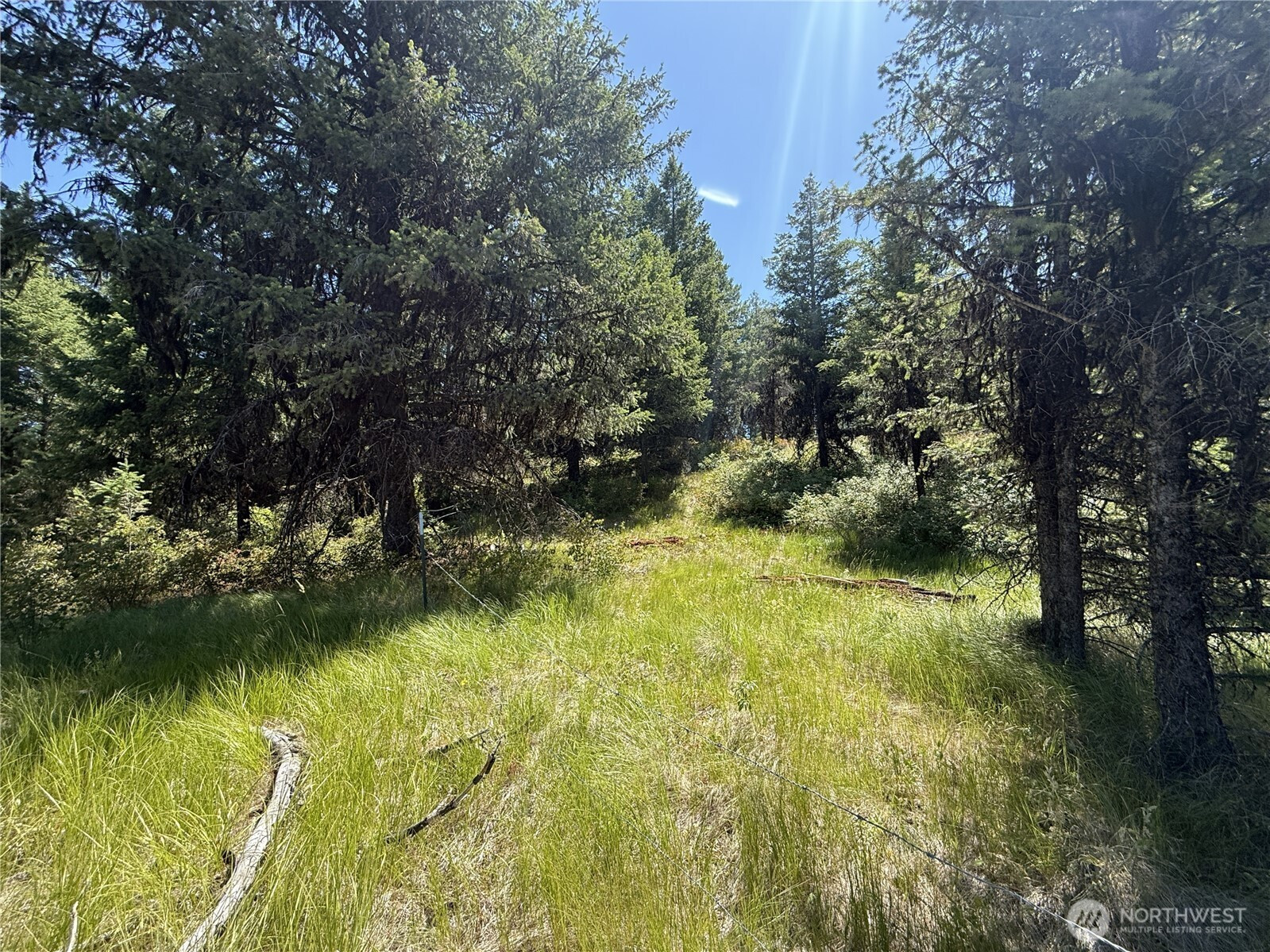 135 Slippery Hill Lane, Republic, WA 99166