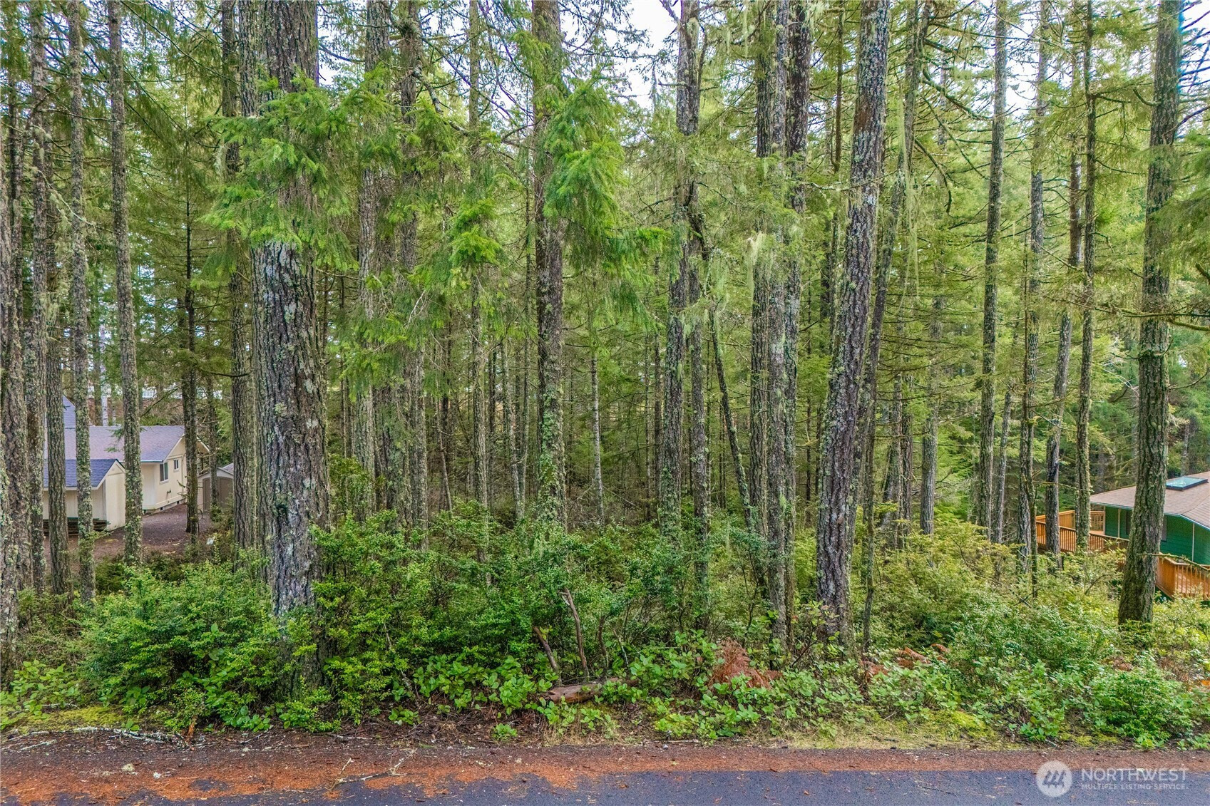 651 E Vine Maple Lane, Union, WA 98592