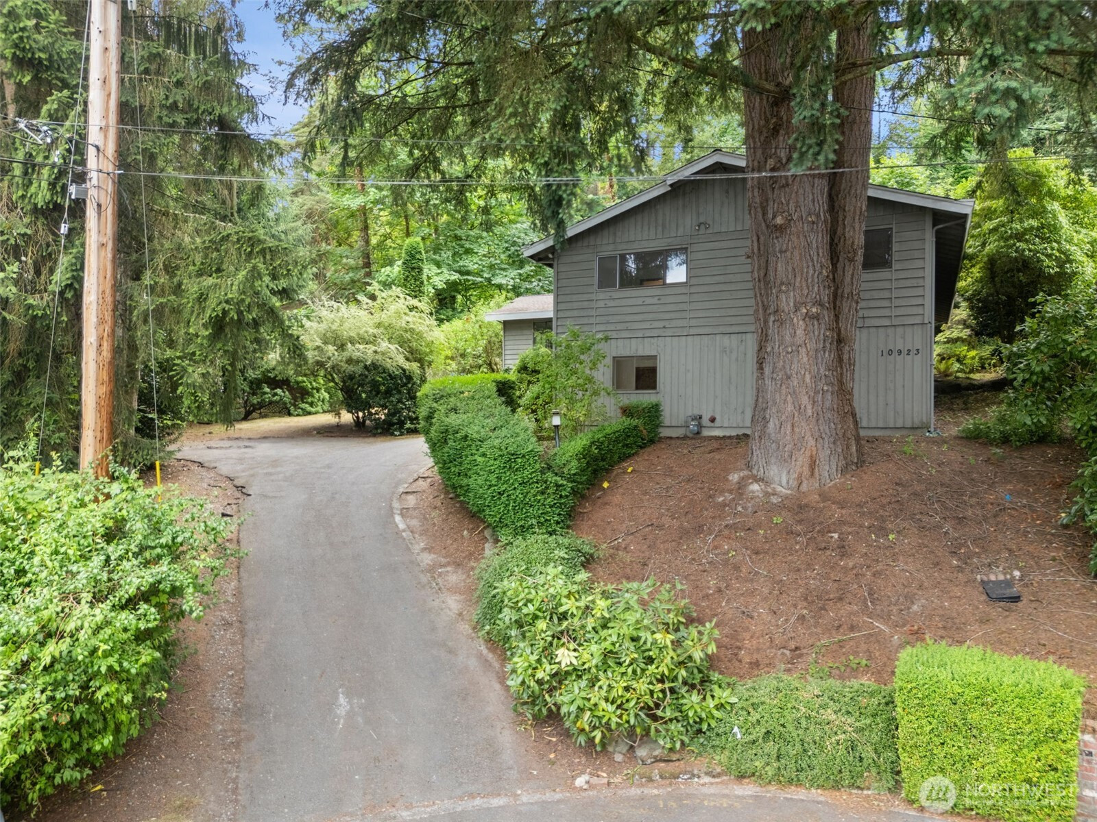 10923 SE 10th Place, Bellevue, WA 98004