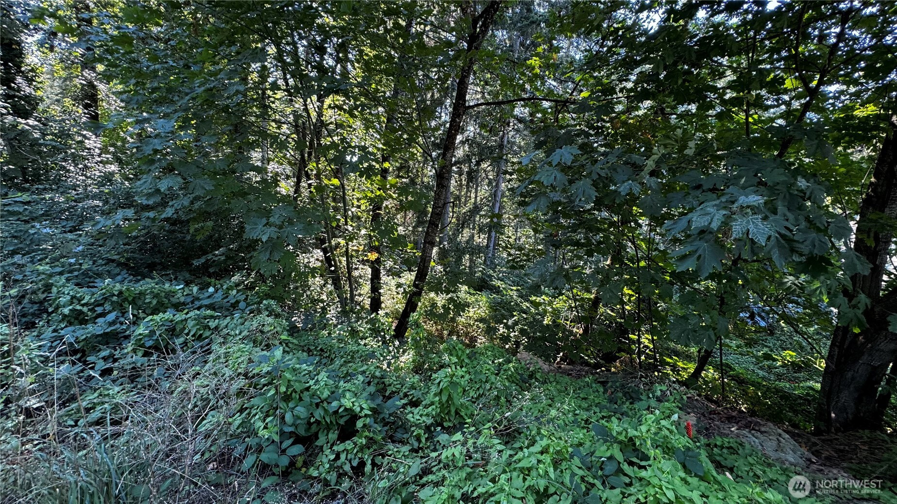 14055 169th Avenue SE, Renton, WA 98059
