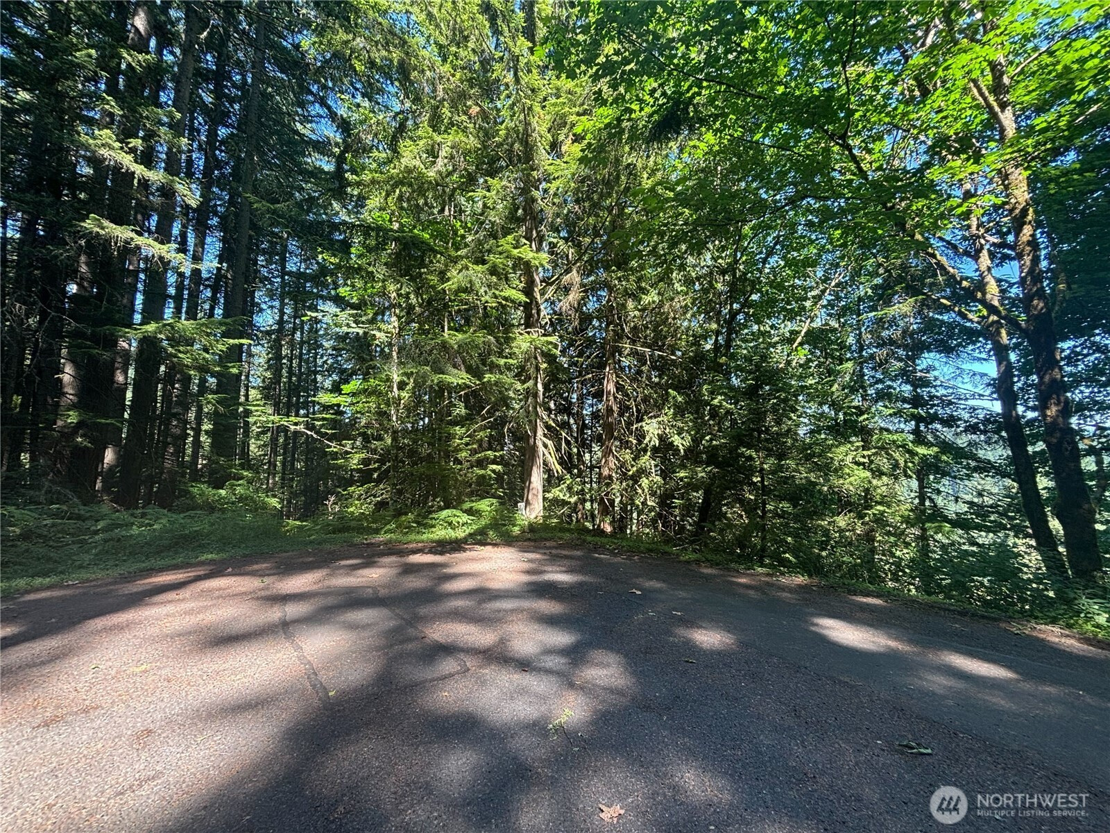 21 Clematis Lane, Bellingham, WA 98229