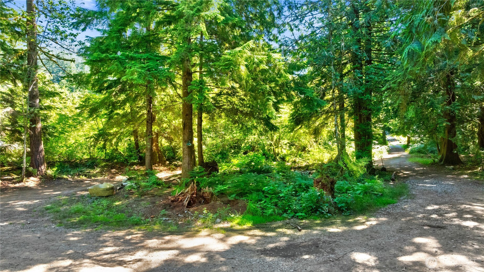 15528 May Creek Road, Gold Bar, WA 98251