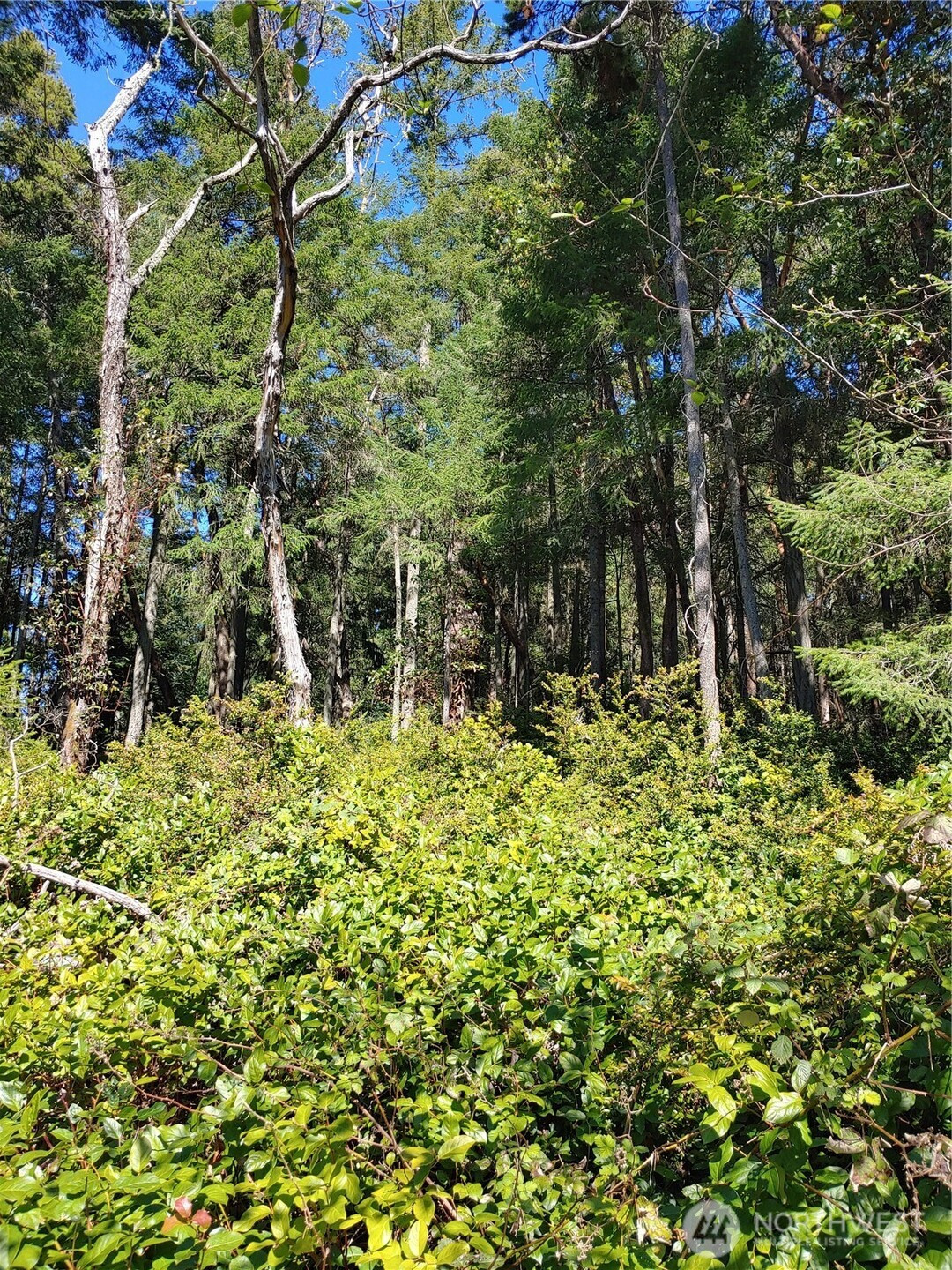 10419 Riviera Drive, Anderson Island, WA 98303